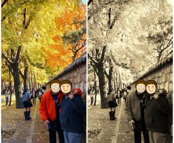 한 폭의 유화, 가을 단풍의 덕수궁길